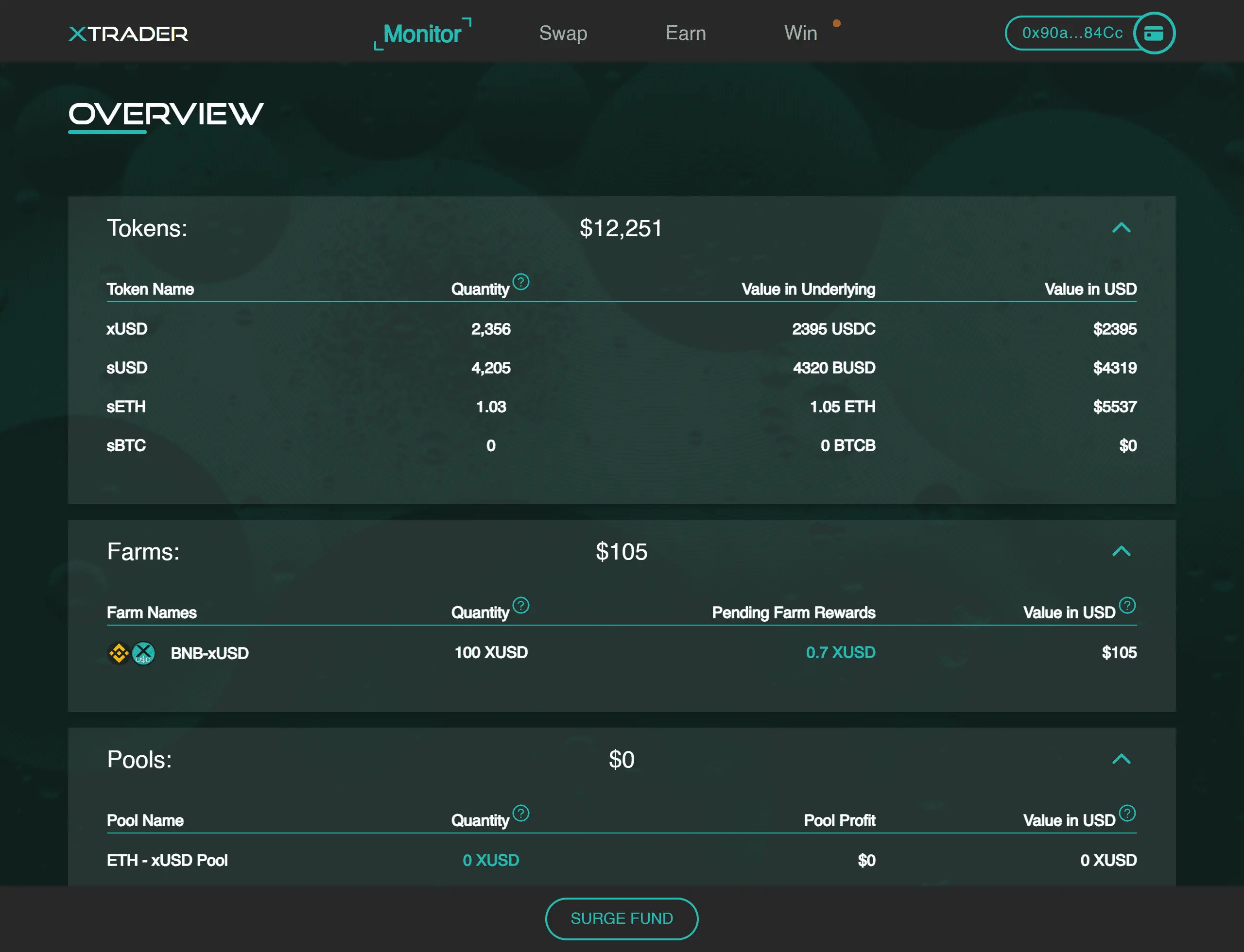 xSurge Overview Dashboard