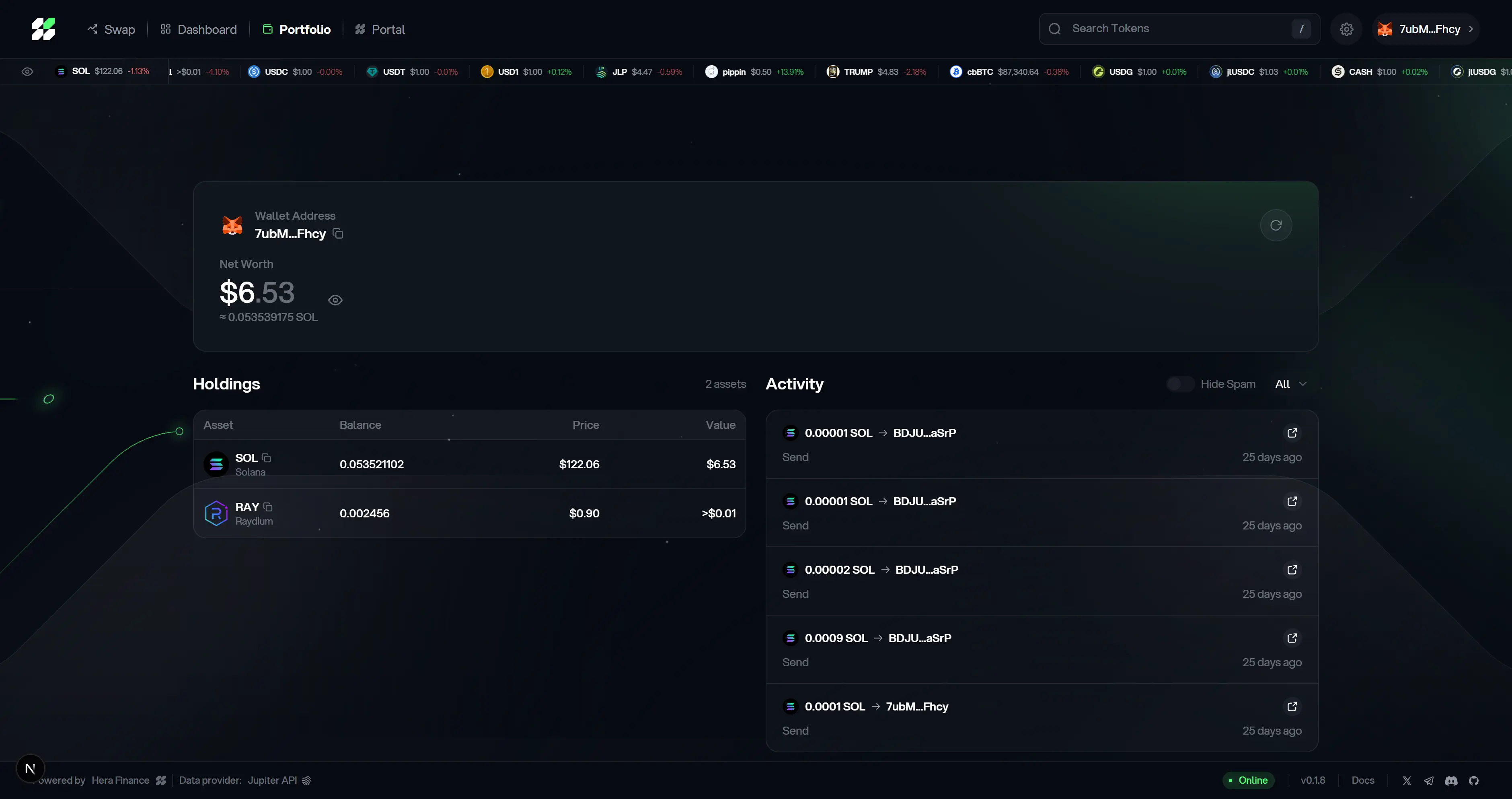 Hera Finance portfolio overview